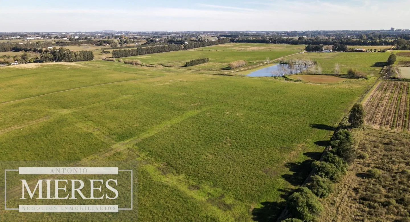 Chacra / Campo 137 ha en Montevideo — foto 6