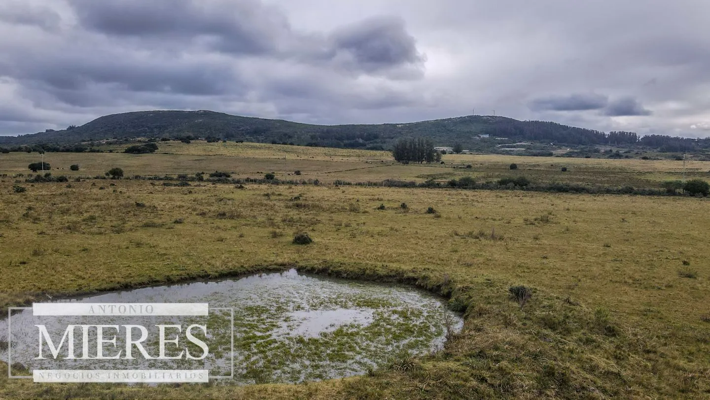 Chacras en Pueblo Edén de 3,5 y 4 ha. — foto 11