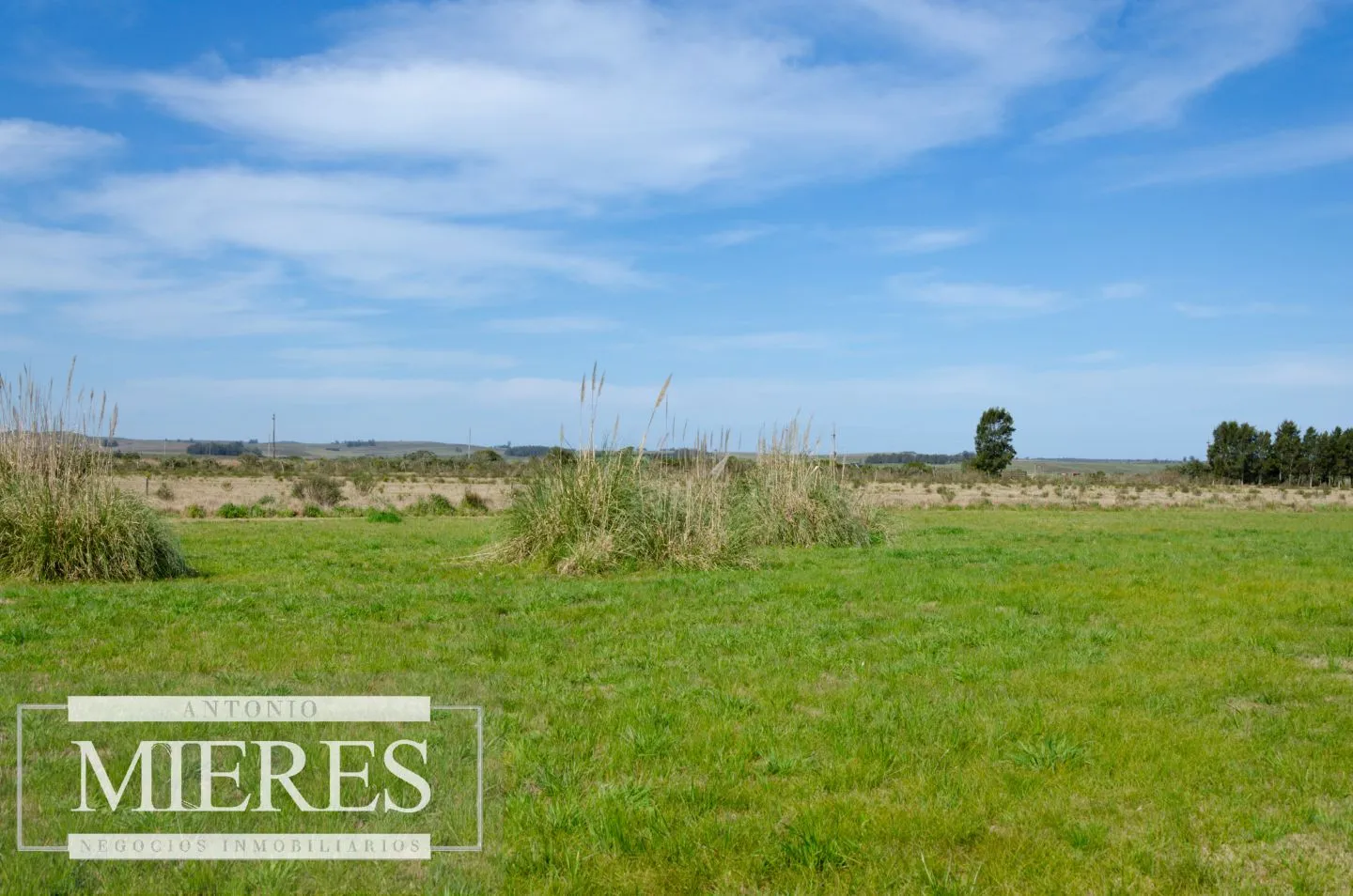 Venta de Chacra con Casa de 4 dormitorios - Jose Ignacio — foto 21