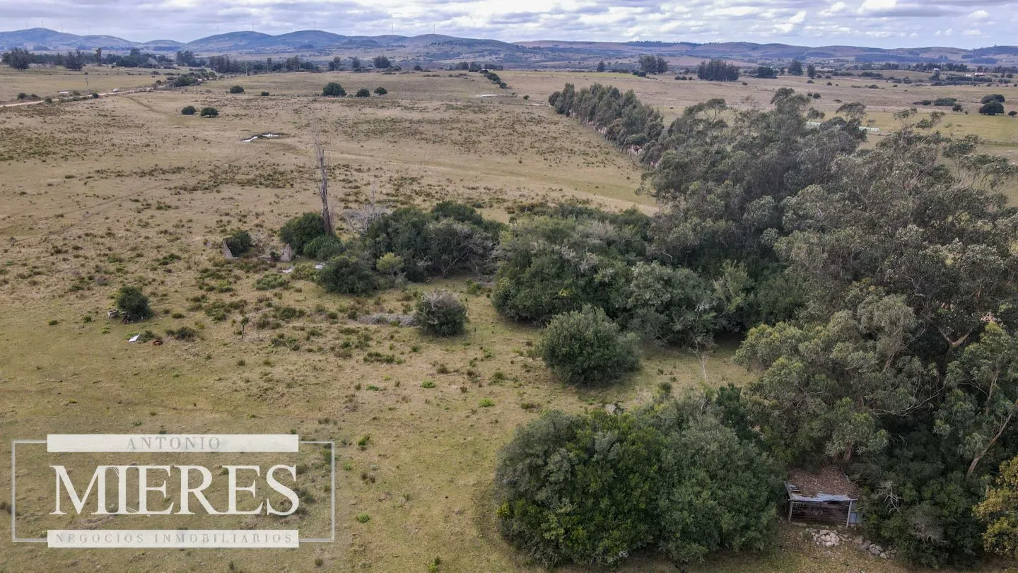Chacras en Pueblo Edén de 3,5 y 4 ha. — foto 18