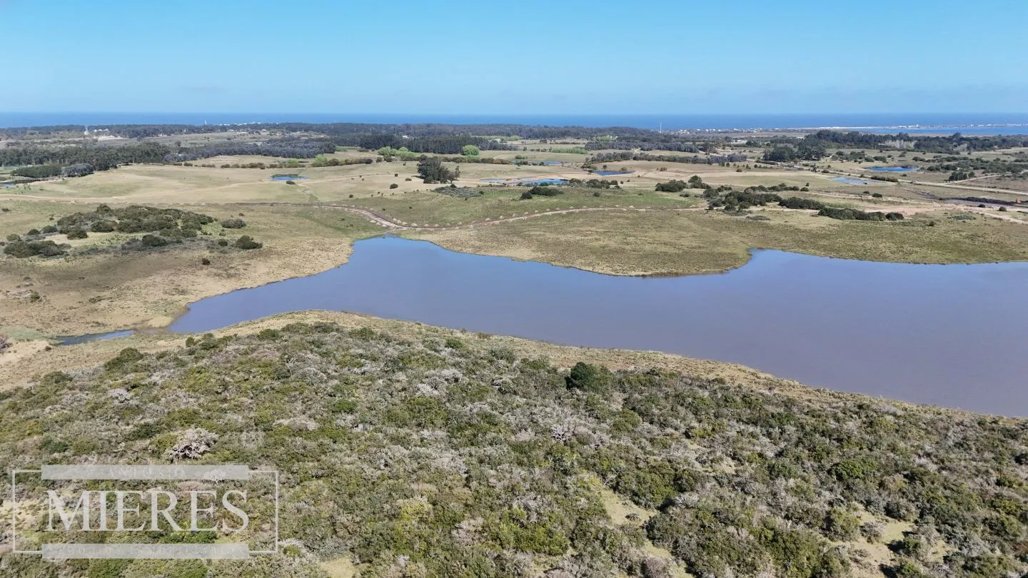 Venta de chacras Premium de 3 has en José Ignacio, Uruguay. — foto 3