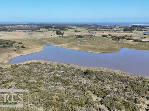 Venta de chacras Premium de 3 has en José Ignacio, Uruguay. — foto 3