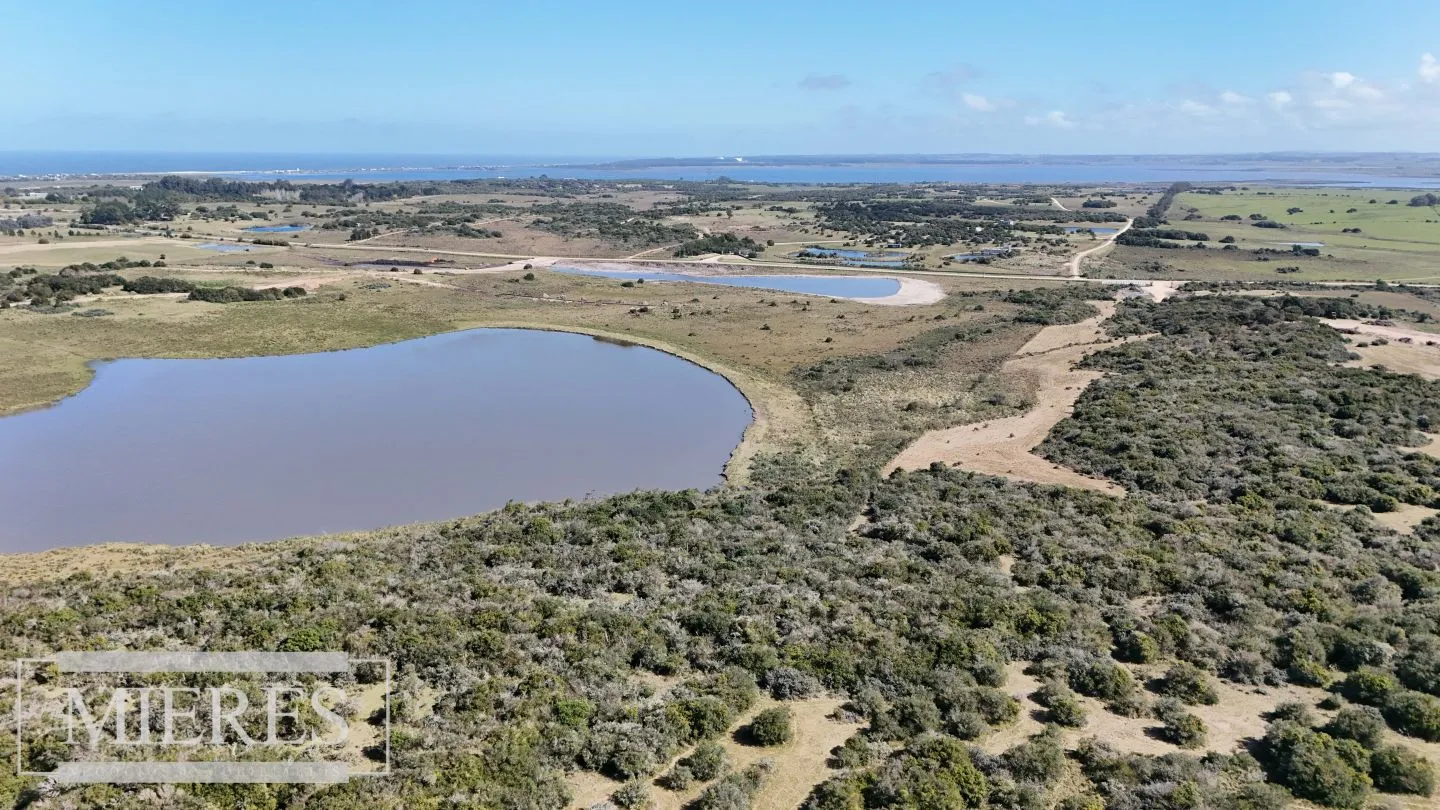Venta de chacras Premium de 3 has en José Ignacio, Uruguay. — foto 4