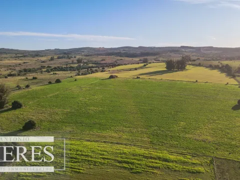 Campo de 270ha en Pueblo Edén Maldonado