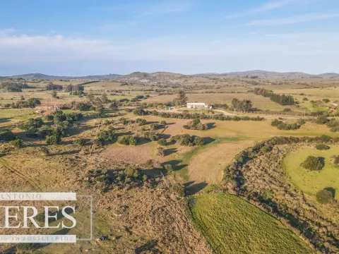 Campo de 270ha en Pueblo Edén Maldonado — foto 2