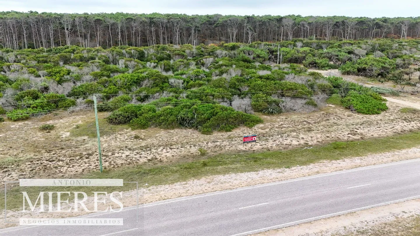 Lote en venta 3500m2 Apto Ideal emprendimiento, El Caracol — foto 2
