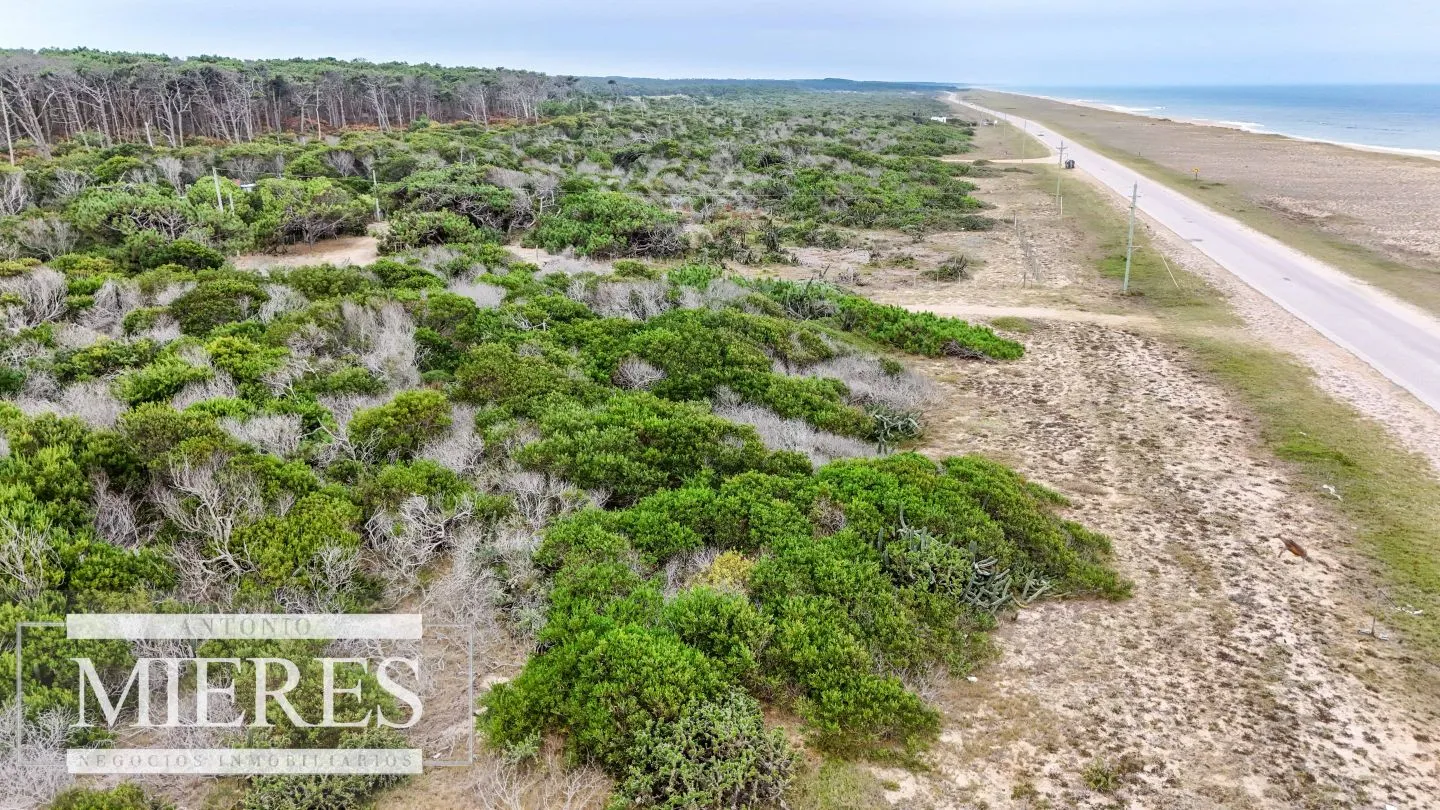 Lote en venta 3500m2 Apto Ideal emprendimiento, El Caracol — foto 4
