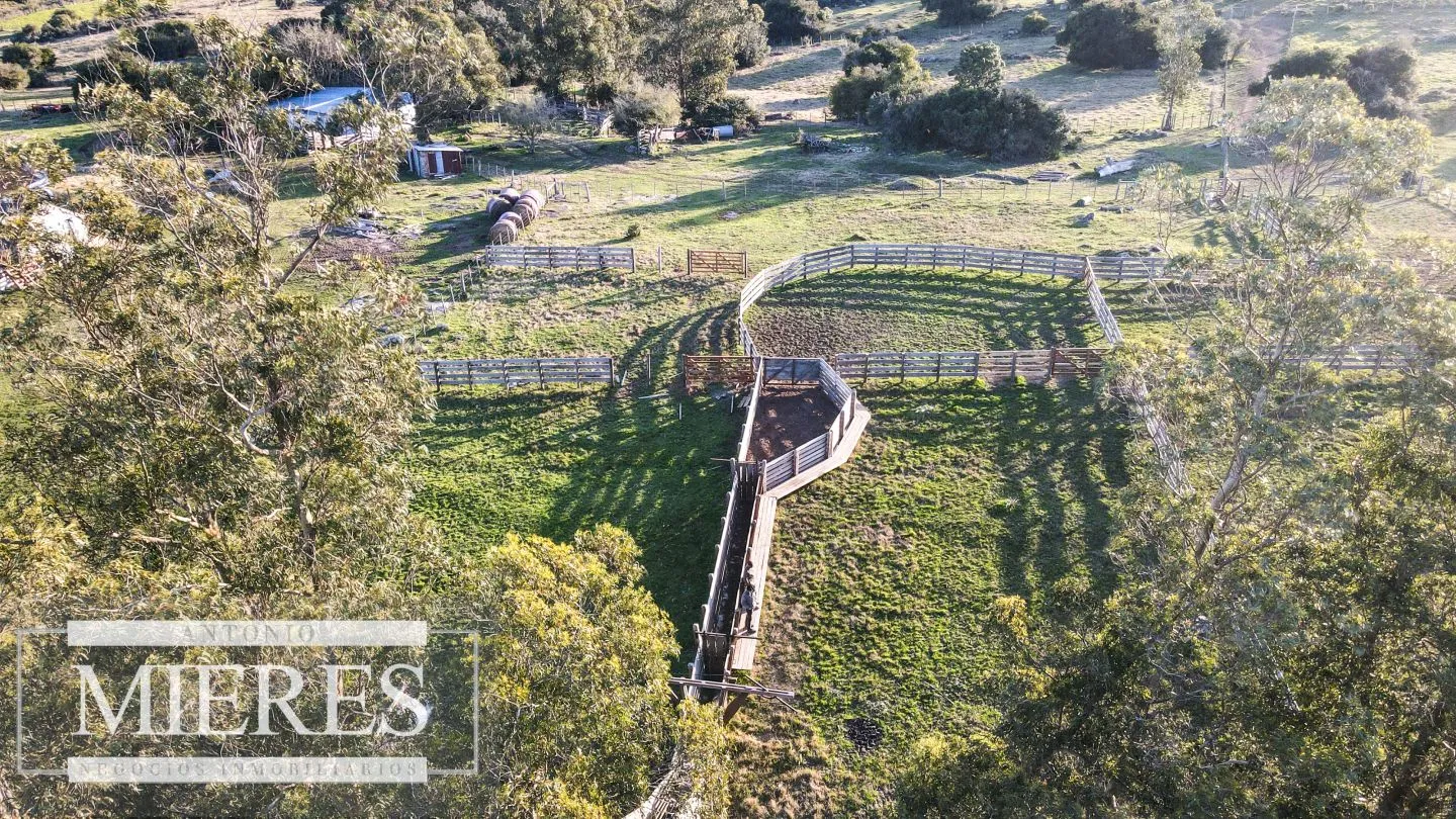 Campo de 270ha en Pueblo Edén Maldonado — foto 5