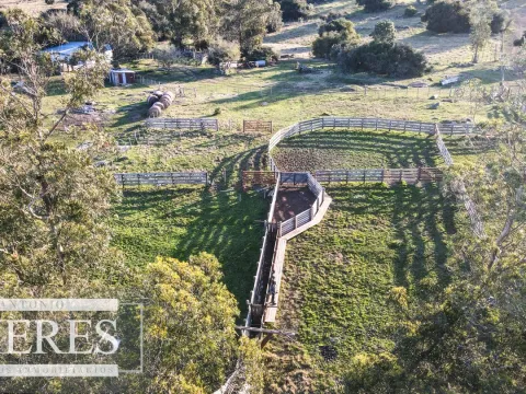 Campo de 270ha en Pueblo Edén Maldonado — foto 5