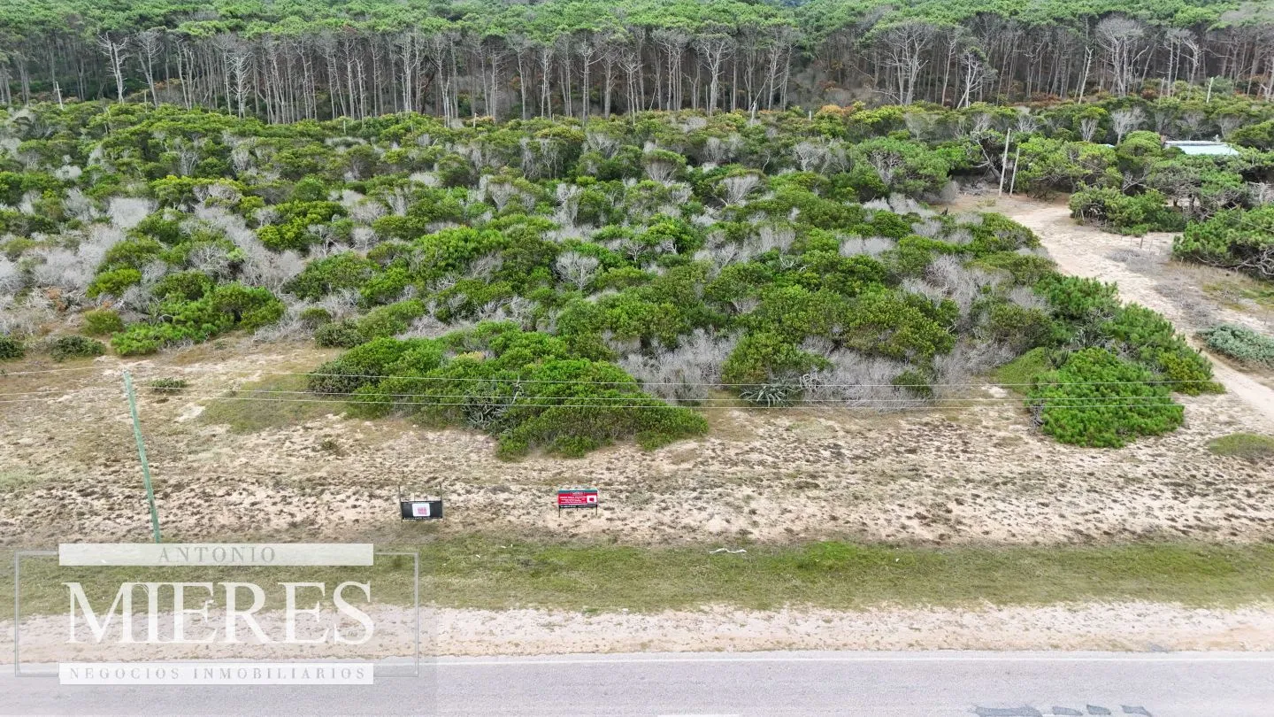 Lote en venta 3500m2 Apto Ideal emprendimiento, El Caracol — foto 5
