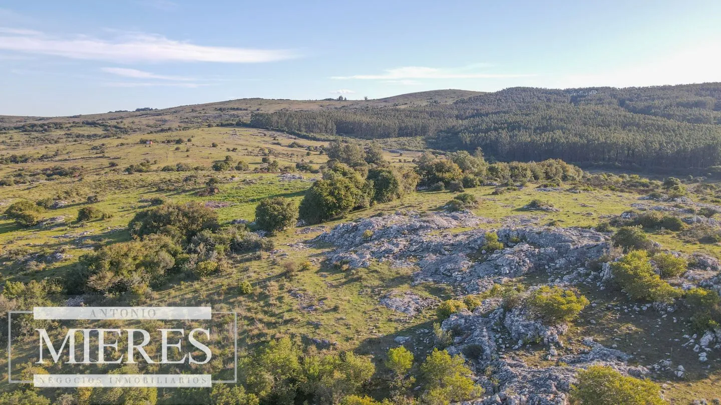 Campo de 270ha en Pueblo Edén Maldonado — foto 9
