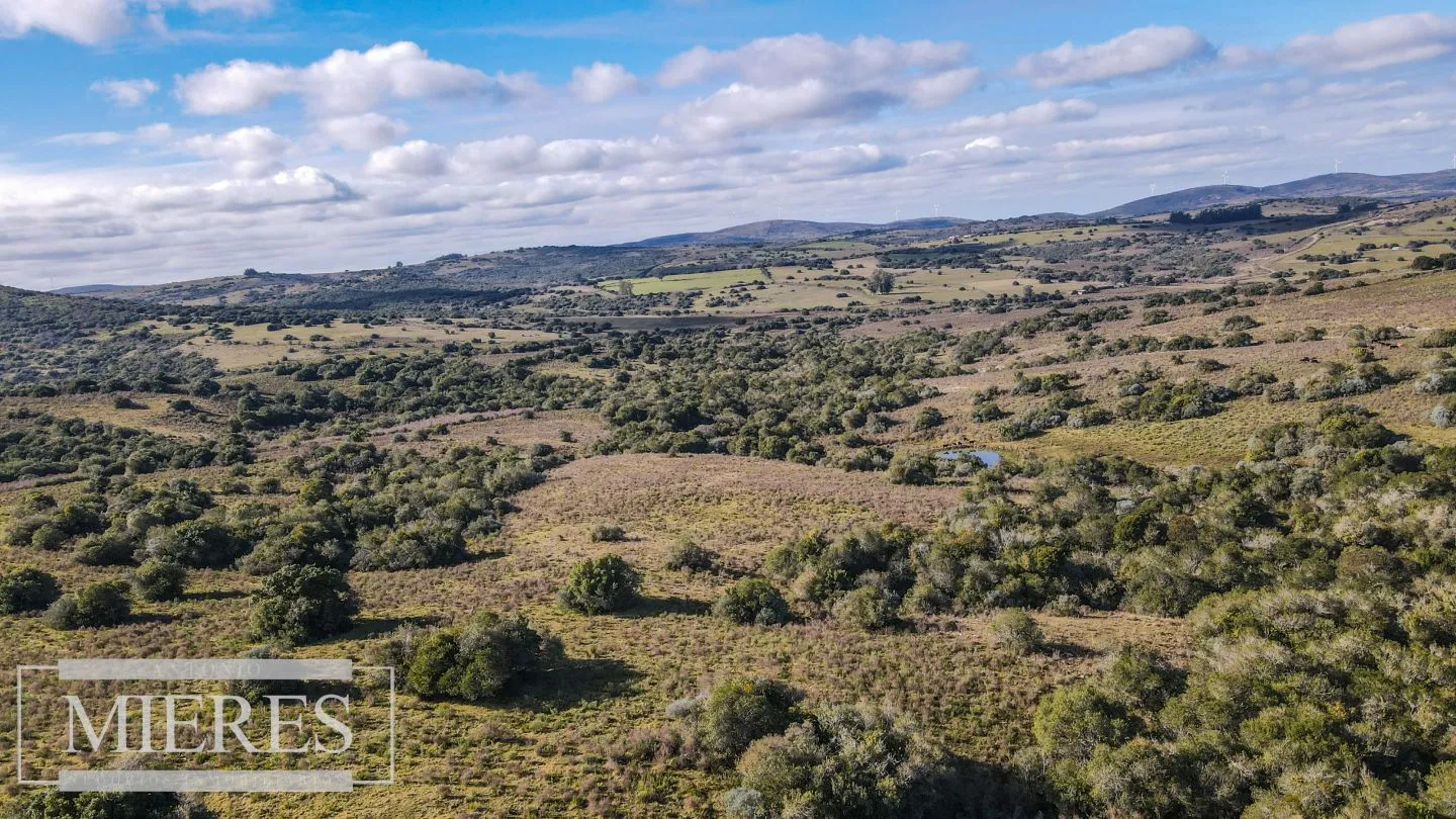 Chacras de 5 ha En las Sierras de Pueblo Edén — foto 23