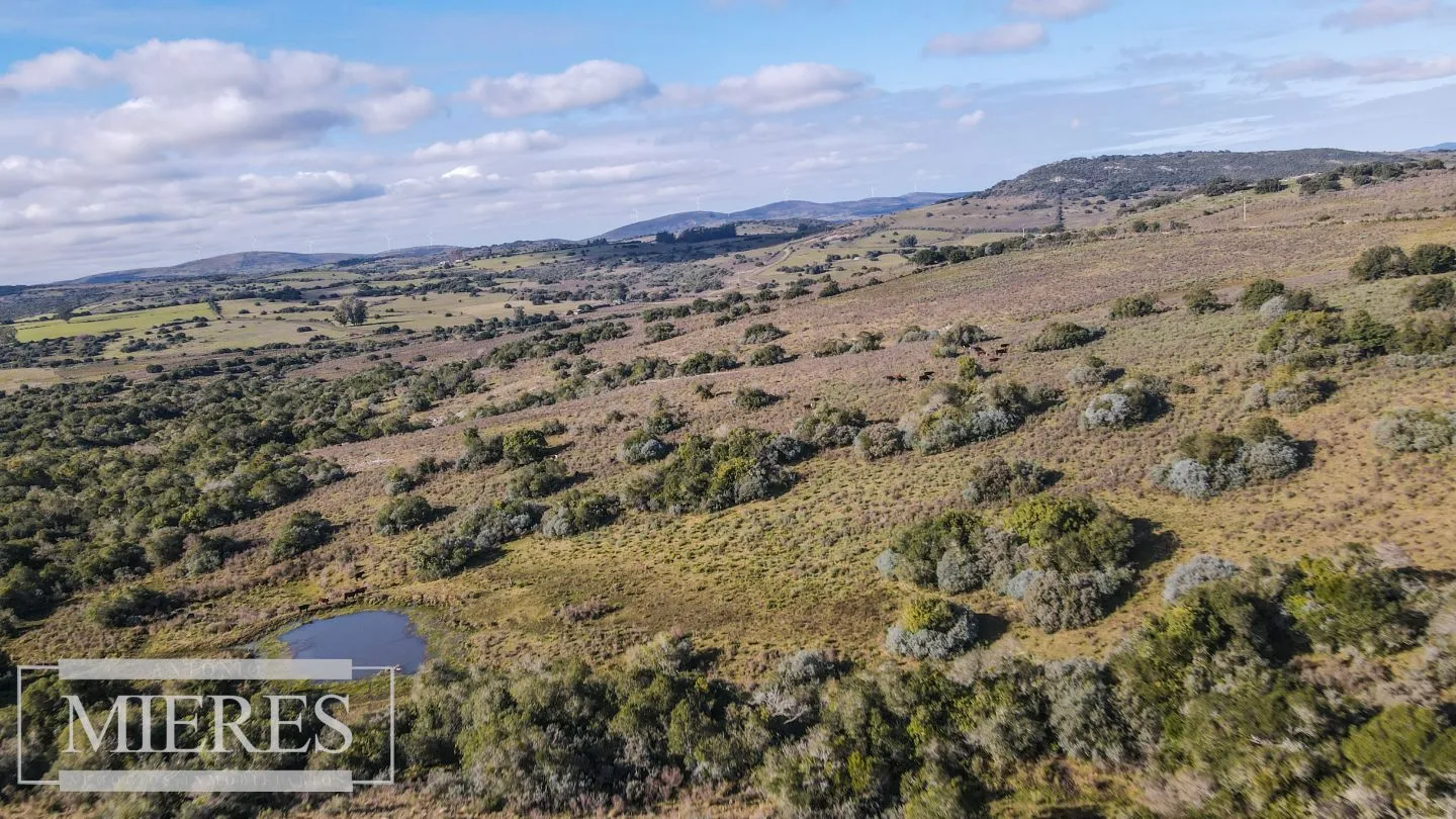 Chacras de 5 ha En las Sierras de Pueblo Edén — foto 25