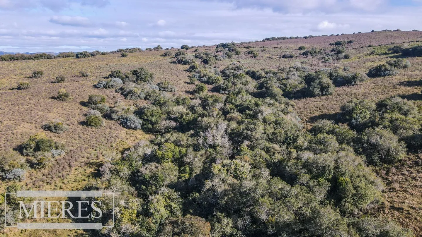 Chacras de 5 ha En las Sierras de Pueblo Edén — foto 26