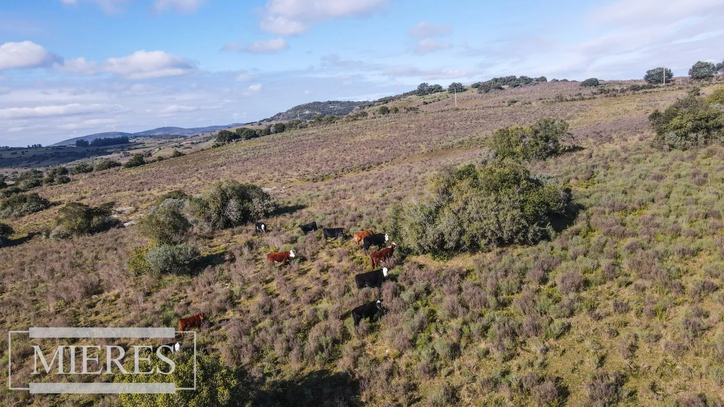 Chacras de 5 ha En las Sierras de Pueblo Edén — foto 27