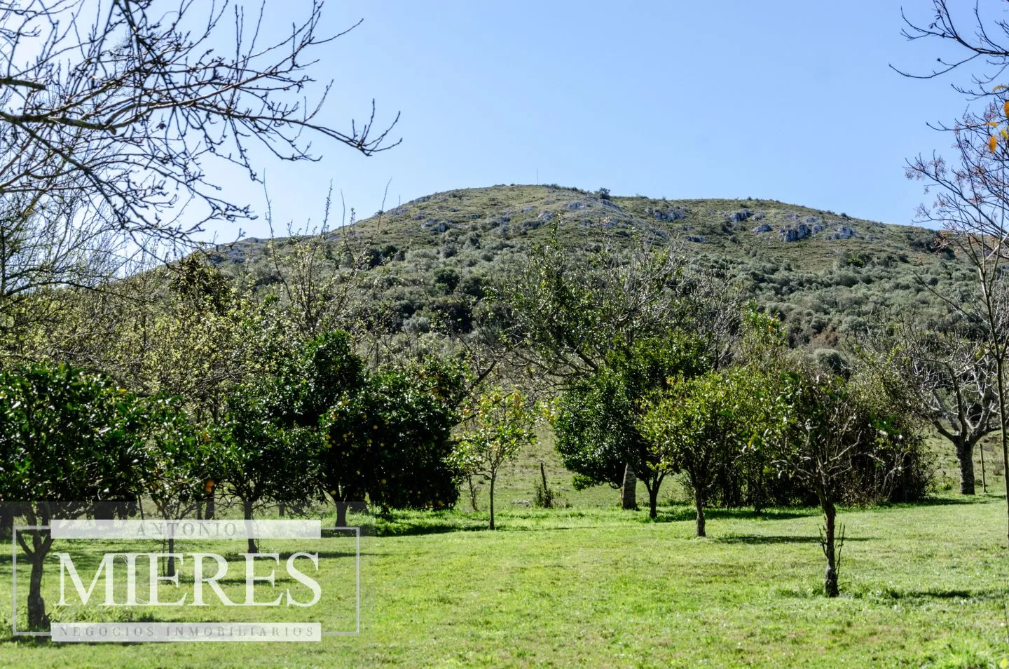 Posada en Mariscala con 32 ha de campo — foto 3