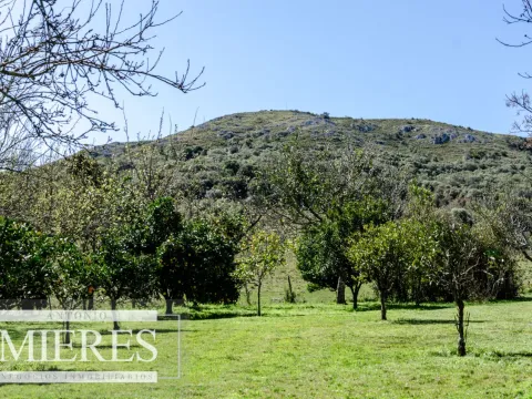 Posada en Mariscala con 32 ha de campo — foto 3