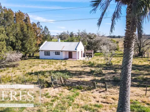 Chacra 11 ha con casa sobre ruta 39, Maldonado — foto 3