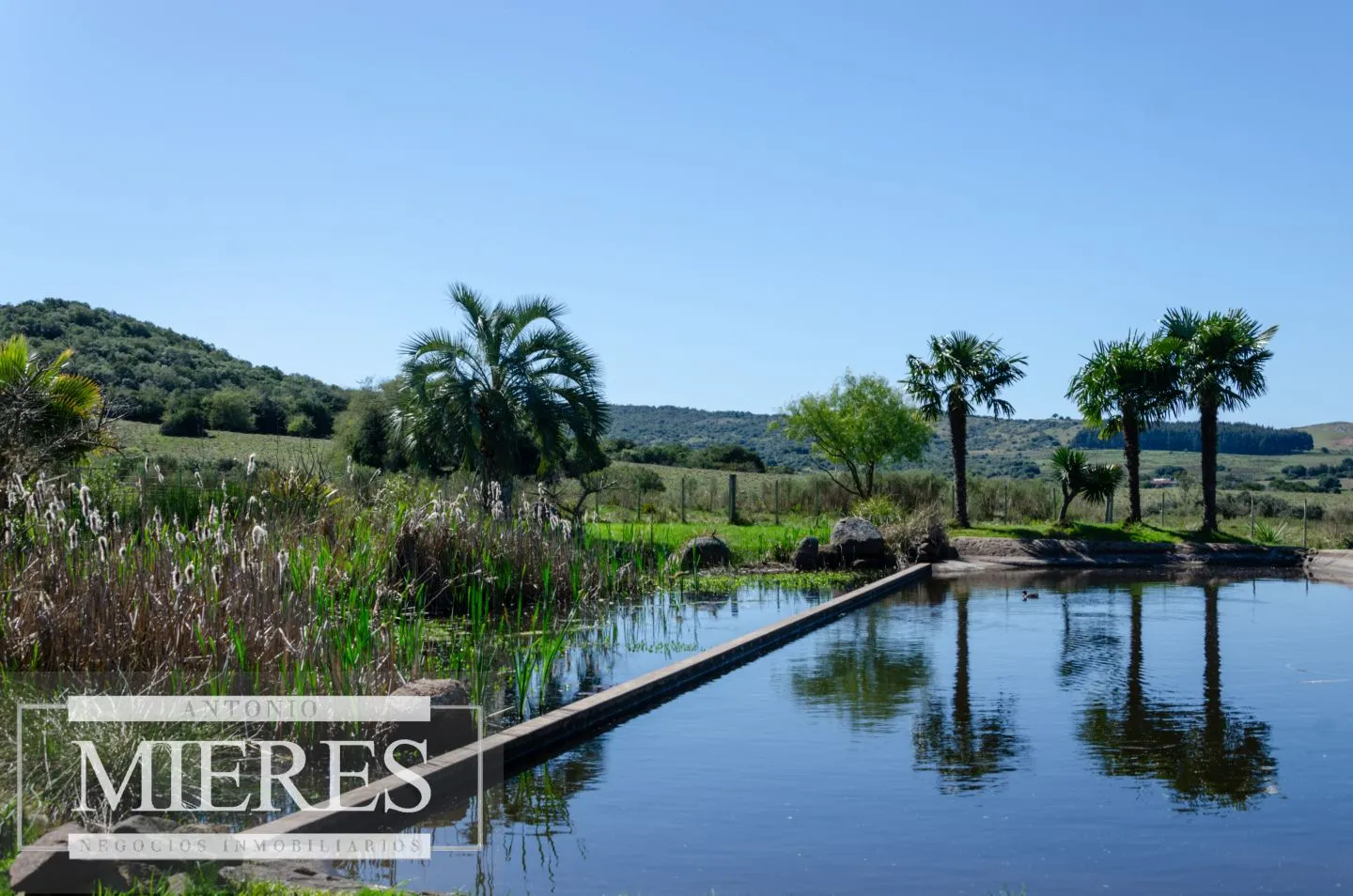 Posada en Mariscala con 32 ha de campo — foto 5