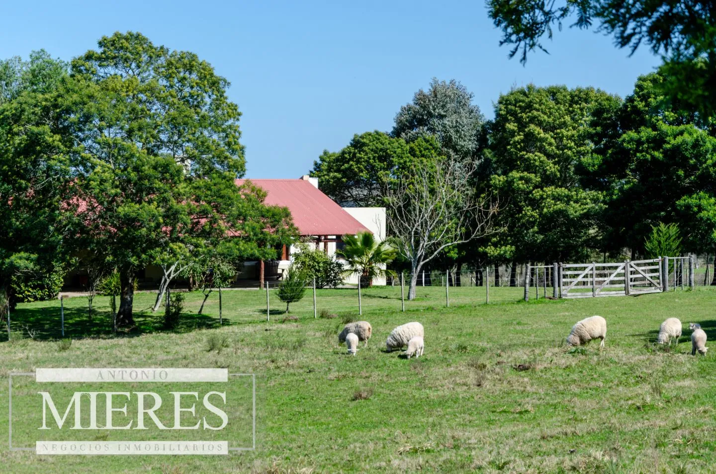 Posada en Mariscala con 32 ha de campo — foto 10