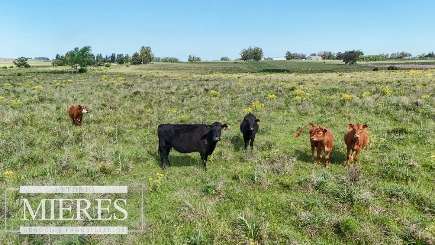Venta de campo 14 ha en Partido Norte, Maldonado — foto 1