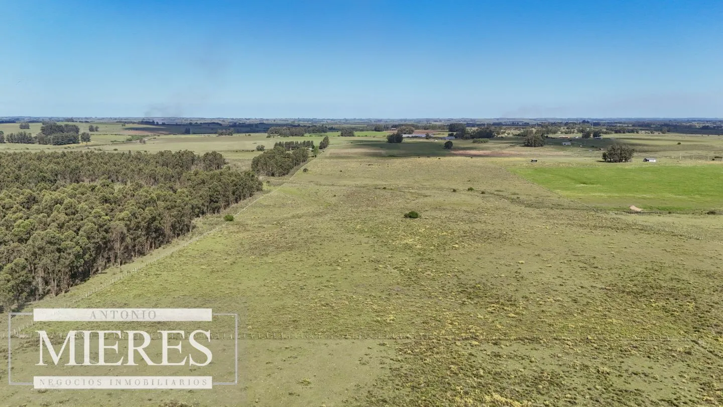 Venta de campo 14 ha en Partido Norte, Maldonado — foto 3