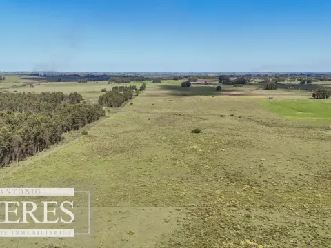 Venta de campo 14 ha en Partido Norte, Maldonado — foto 3