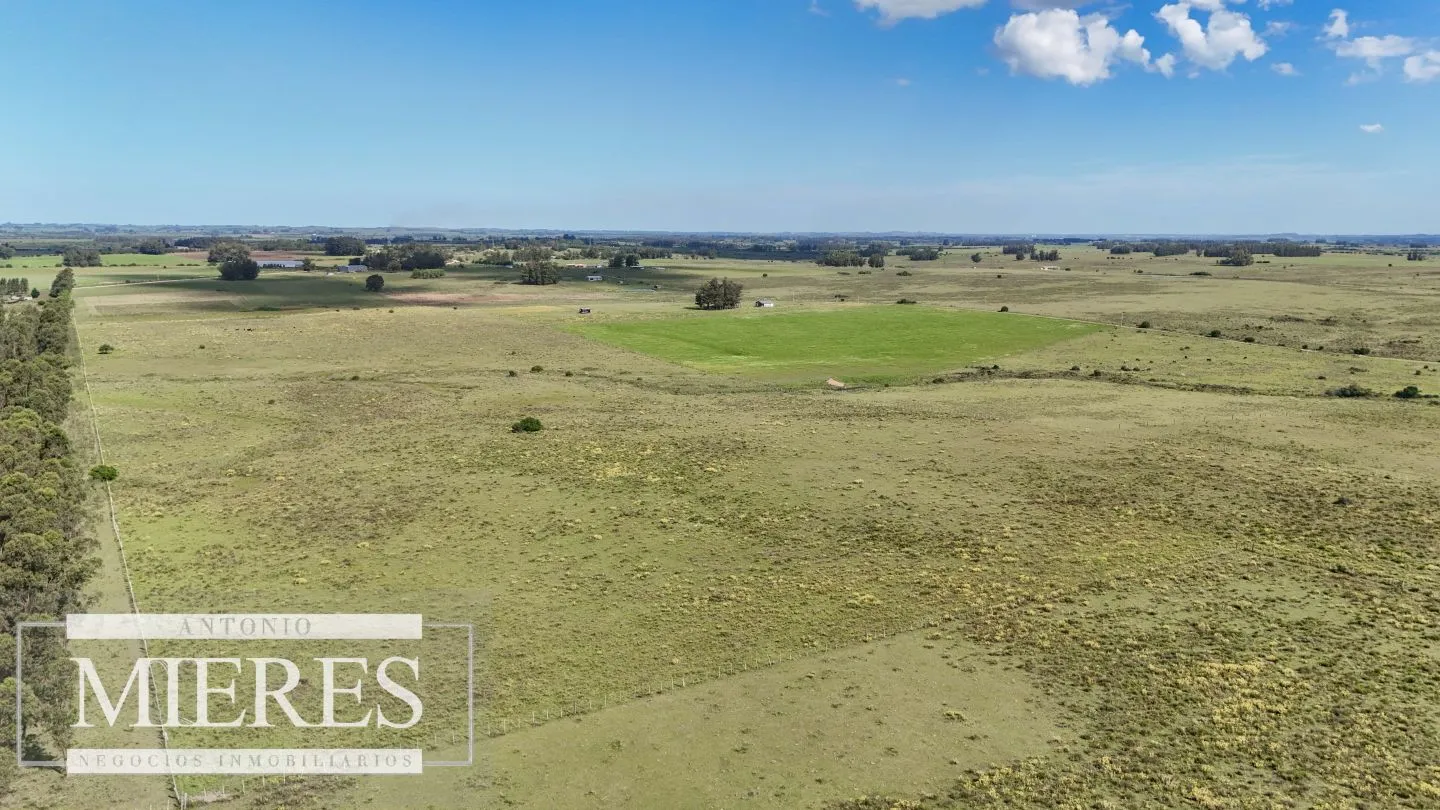 Venta de campo 14 ha en Partido Norte, Maldonado — foto 4