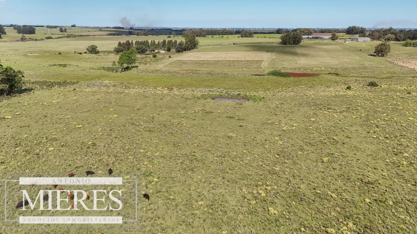 Venta de campo 14 ha en Partido Norte, Maldonado — foto 7