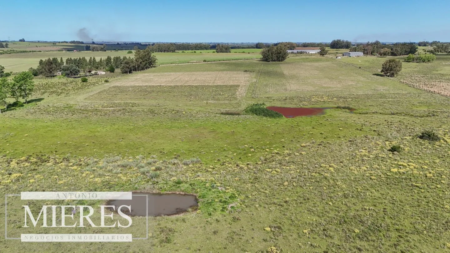 Venta de campo 14 ha en Partido Norte, Maldonado — foto 8