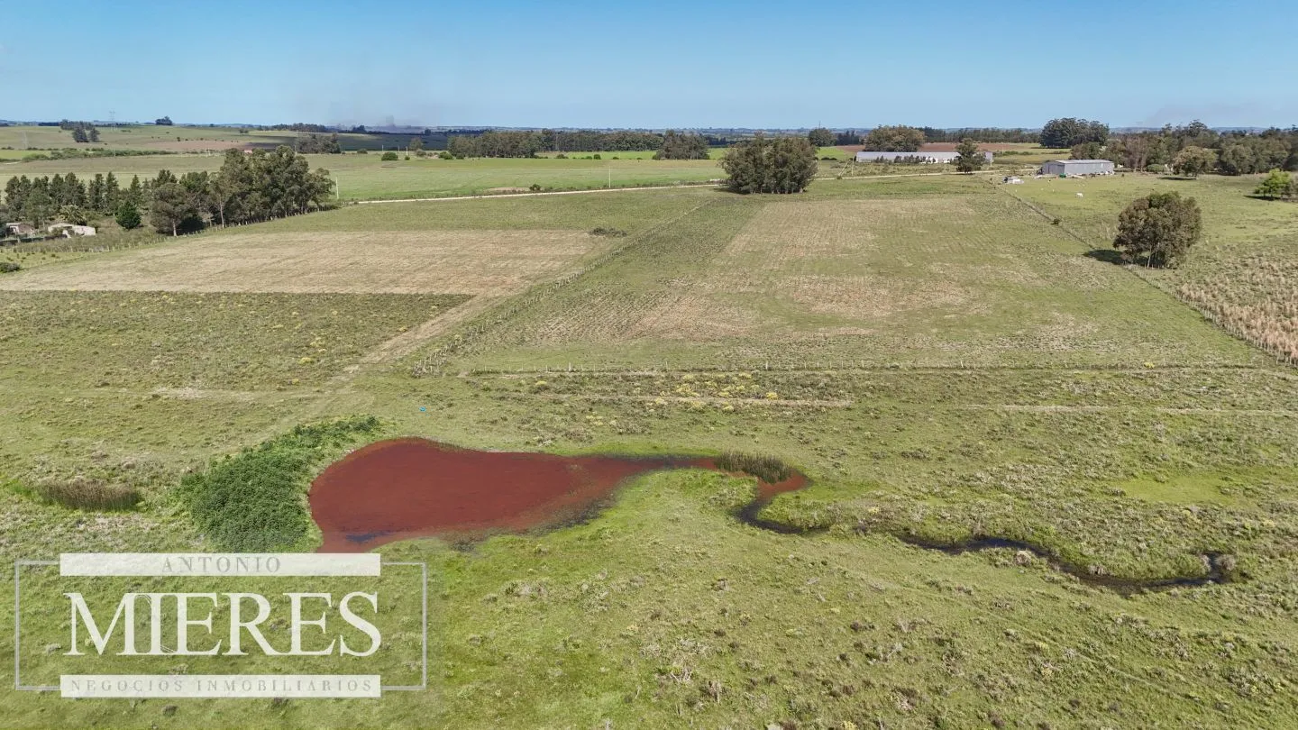 Venta de campo 14 ha en Partido Norte, Maldonado — foto 9