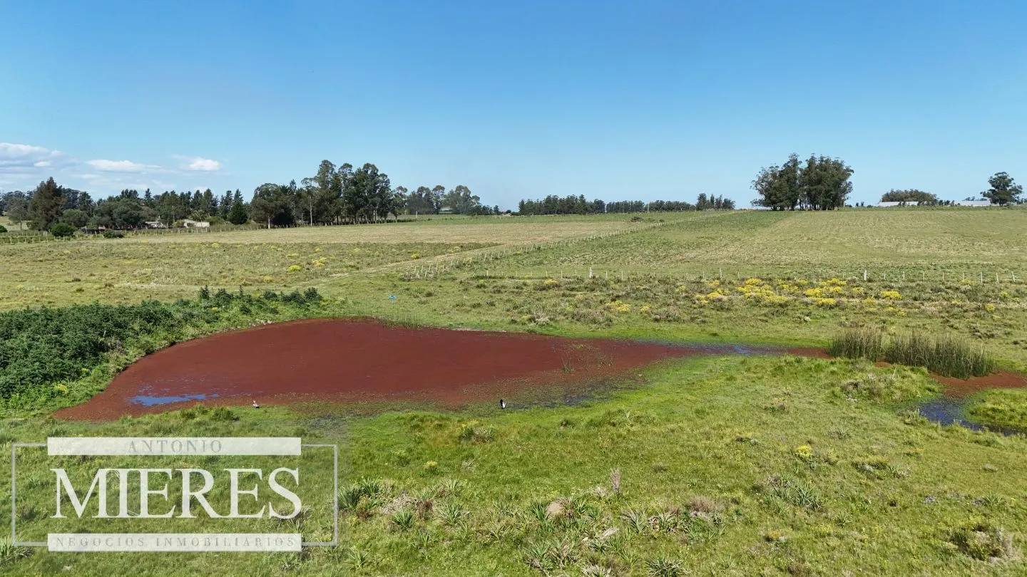 Venta de campo 14 ha en Partido Norte, Maldonado — foto 10