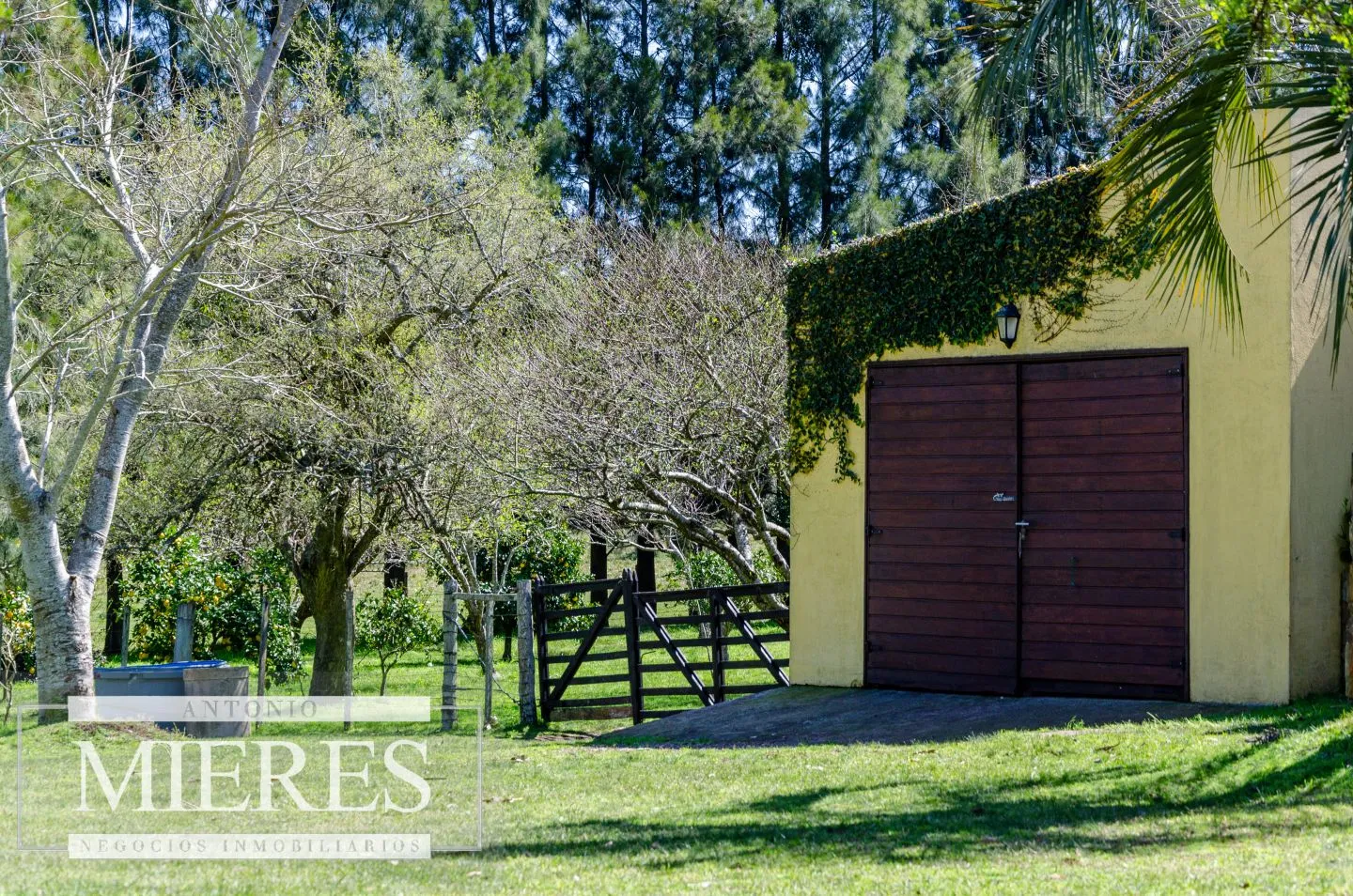 Posada en Mariscala con 32 ha de campo — foto 29