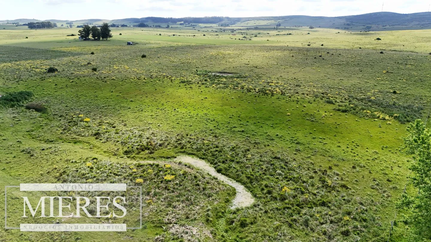 Venta de campo 14 ha en Partido Norte, Maldonado — foto 16
