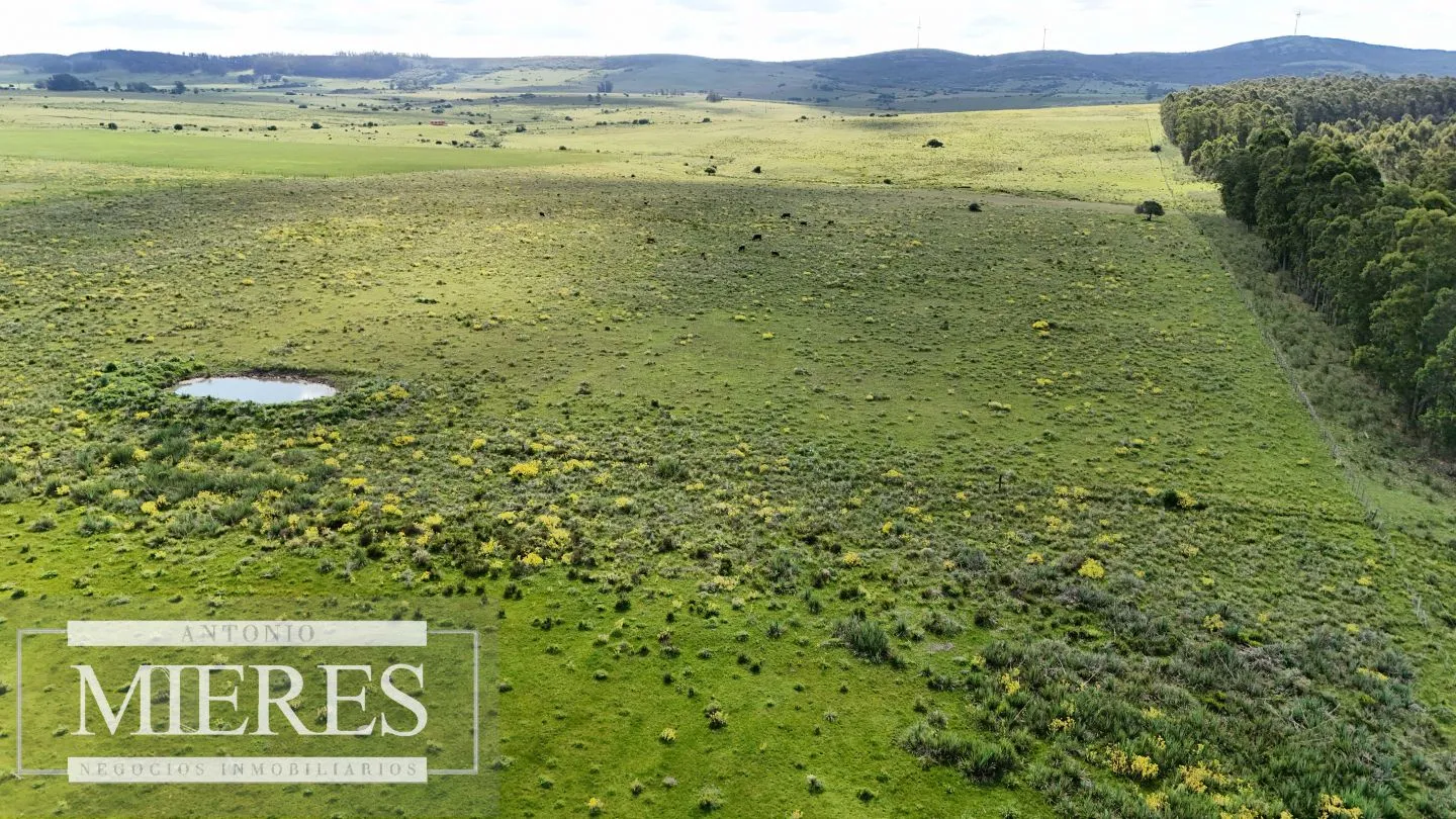 Venta de campo 14 ha en Partido Norte, Maldonado — foto 17