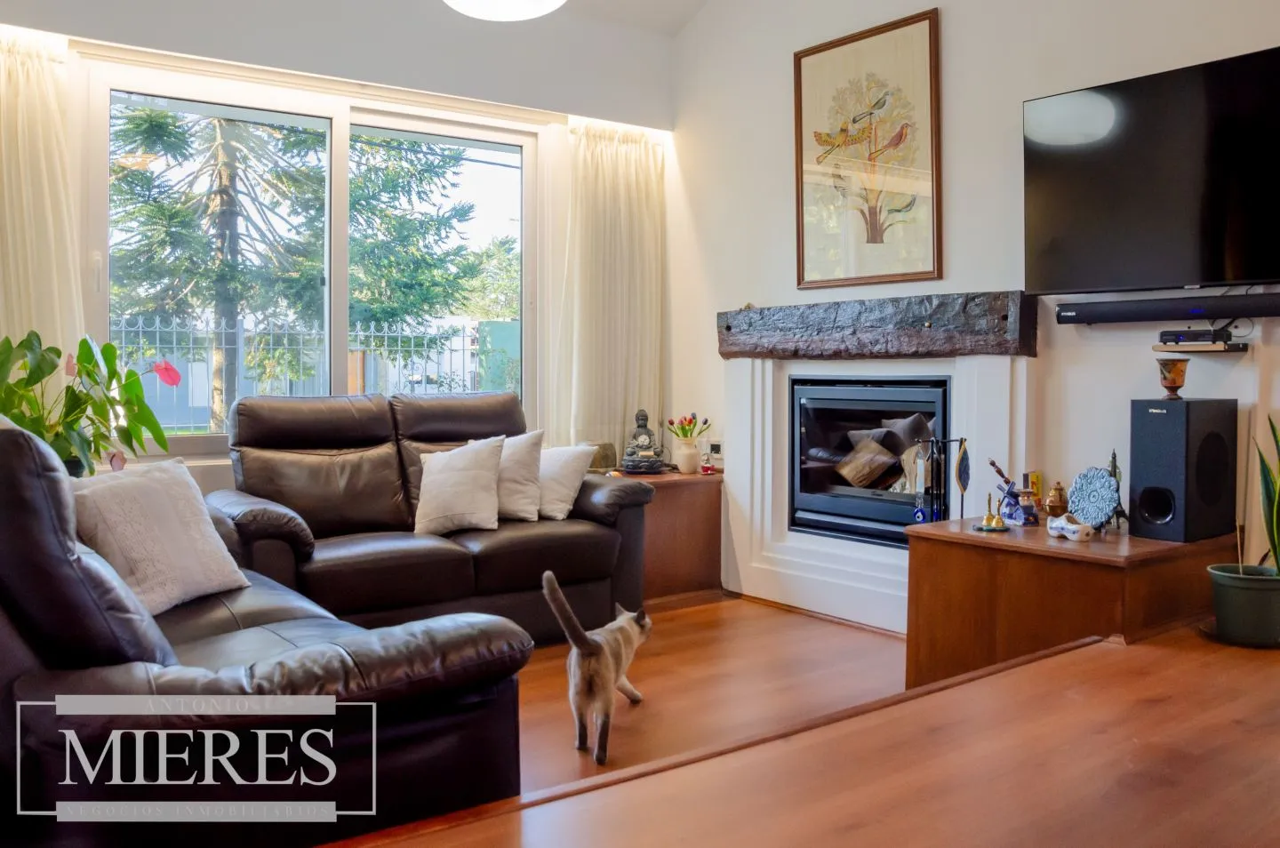 Venta de casa de 3 dormitorios - Pinares — foto 6