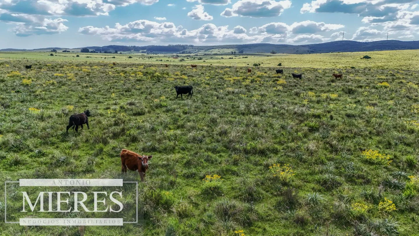 Venta de campo 14 ha en Partido Norte, Maldonado — foto 19