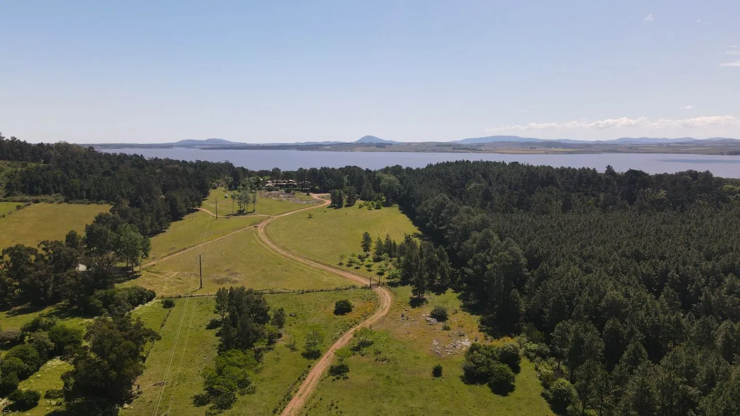 Chacra / Campo 17,2 ha en Punta Del Este — foto 9
