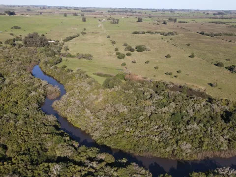 Chacra de 3ha con arroyo en Maldonado — foto 3