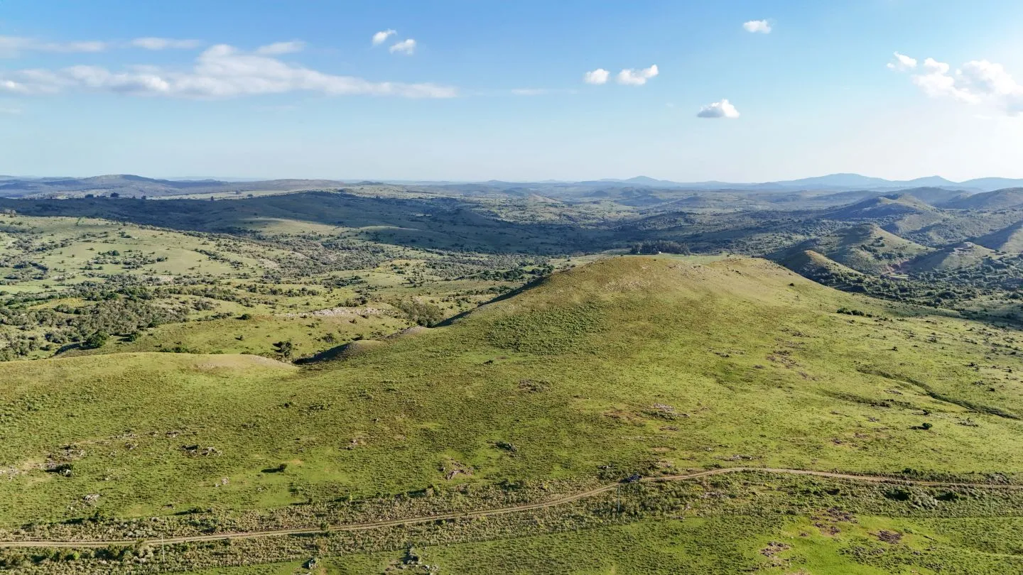 Campo de 95 ha en venta ruta 12 Maldonado/Lavalleja — foto 2