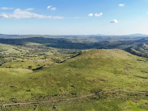 Campo de 95 ha en venta ruta 12 Maldonado/Lavalleja — foto 2