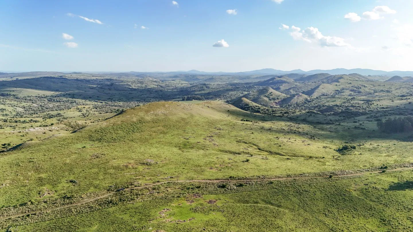 Campo de 95 ha en venta ruta 12 Maldonado/Lavalleja — foto 3
