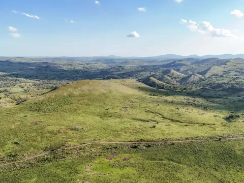 Campo de 95 ha en venta ruta 12 Maldonado/Lavalleja — foto 3