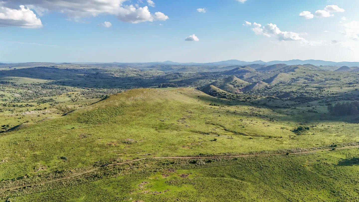 Campo de 95 ha en venta ruta 12 Maldonado/Lavalleja — foto 4