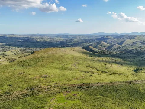 Campo de 95 ha en venta ruta 12 Maldonado/Lavalleja — foto 4