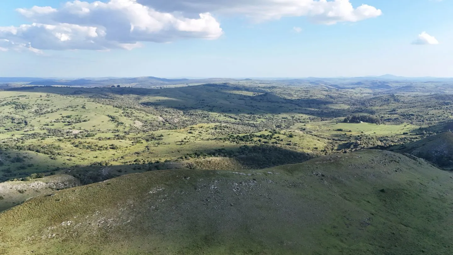 Campo de 95 ha en venta ruta 12 Maldonado/Lavalleja — foto 5