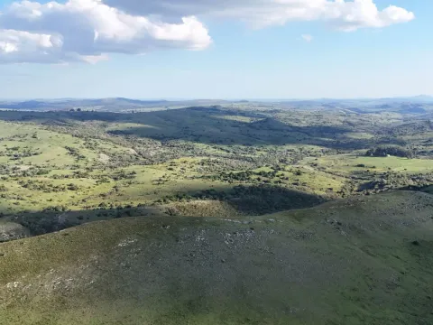 Campo de 95 ha en venta ruta 12 Maldonado/Lavalleja — foto 5