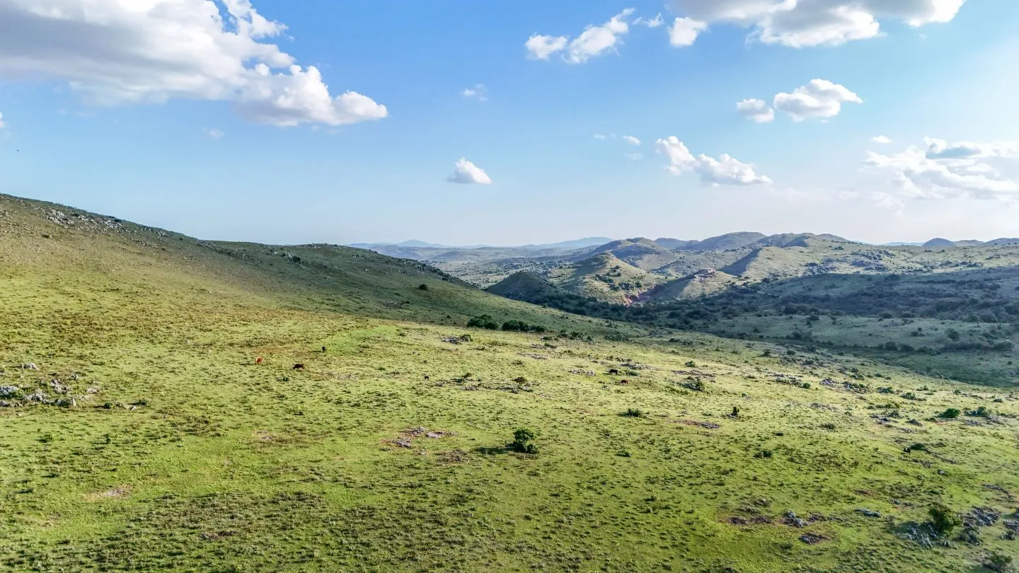 Campo de 95 ha en venta ruta 12 Maldonado/Lavalleja — foto 6