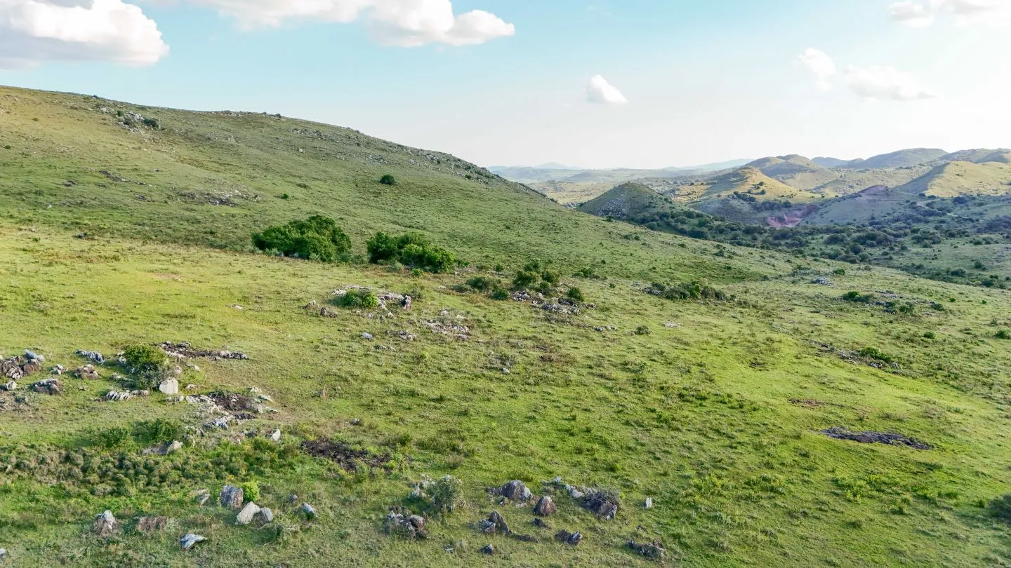 Campo de 95 ha en venta ruta 12 Maldonado/Lavalleja — foto 8