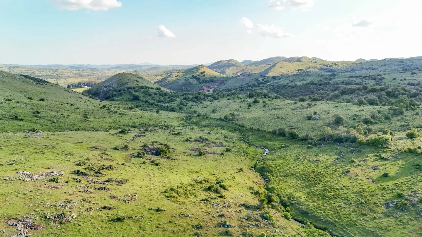 Campo de 95 ha en venta ruta 12 Maldonado/Lavalleja — foto 9